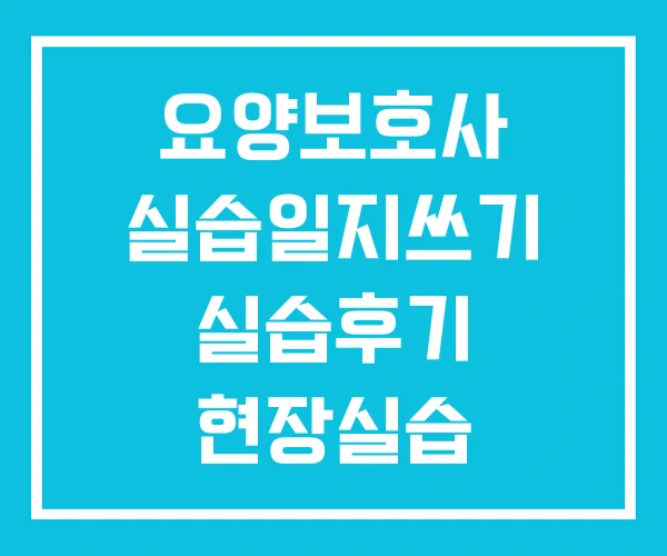 요양보호사 실습일지쓰기 실습후기 현장실습