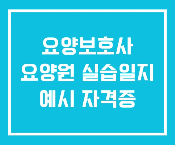 요양보호사 요양원 실습일지 예시 자격증