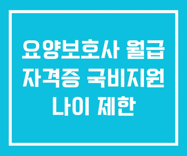 요양보호사 월급 자격증 국비지원 나이 제한 요양보호사 월급 자격증 국비지원 나이 제한