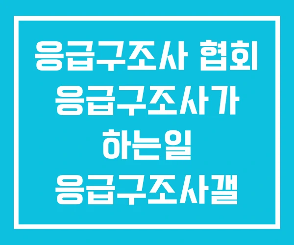 응급구조사 협회 응급구조사가 하는일 응급구조사갤