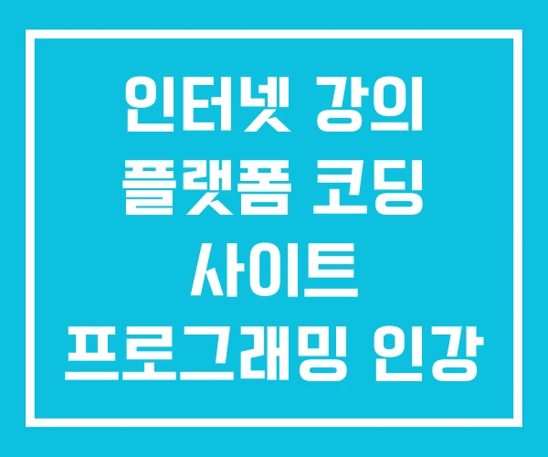 인터넷 강의 플랫폼 코딩 사이트 프로그래밍 인강