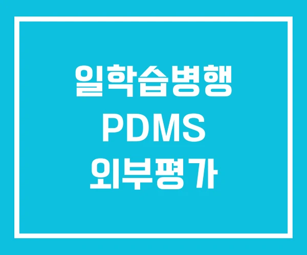 일학습병행 PDMS 외부평가