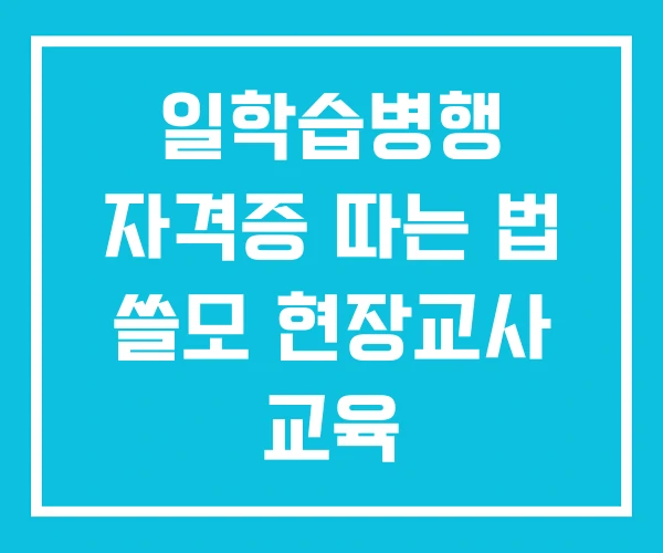 일학습병행 자격증 따는 법 쓸모 현장교사 교육