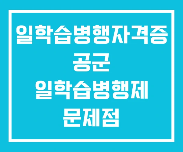 일학습병행자격증 공군 일학습병행제 문제점