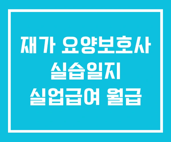 재가 요양보호사 실습일지 실업급여 월급