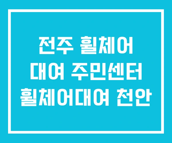 전주 휠체어 대여 주민센터 휠체어대여 천안 전주 휠체어 대여 주민센터 휠체어대여 천안