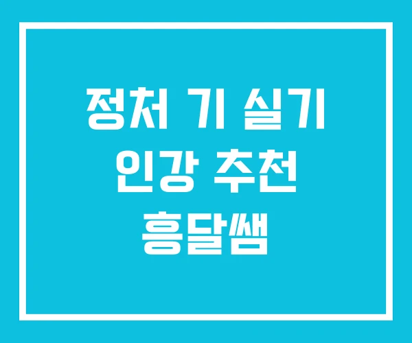 정처 기 실기 인강 추천 흥달쌤