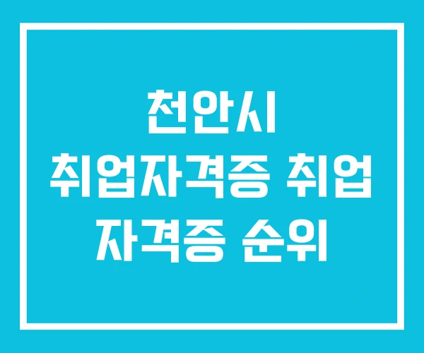 천안시 취업자격증 취업 자격증 순위