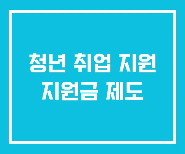 청년 취업 지원 지원금 제도