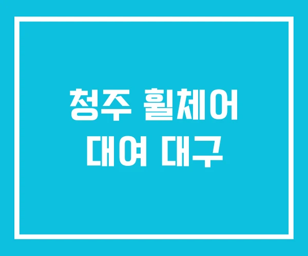 청주 휠체어 대여 대구