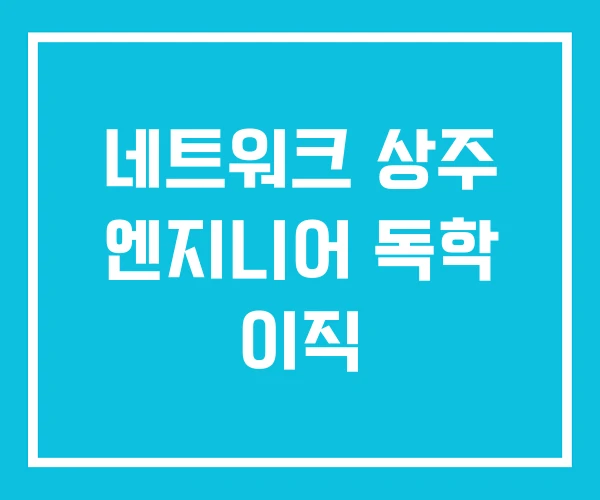네트워크 상주 엔지니어 독학 이직