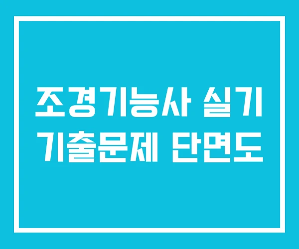 조경기능사 실기 기출문제 단면도 조경기능사 실기 기출문제 단면도