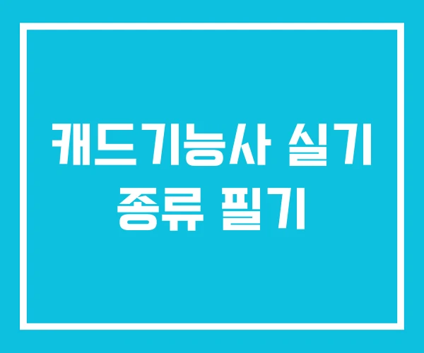 캐드기능사 실기 종류 필기